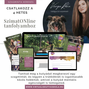 SzimatONline Szimat Hobbi tanfolyam