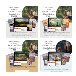 Jóga kutyával online minikurzusok csomag - 4 évszak - 4 minikurzus